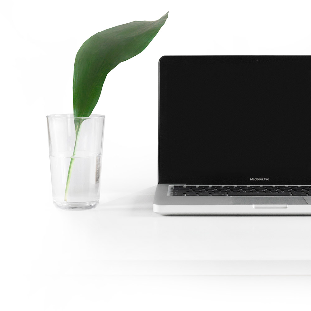 odablanc web sitesi hizmetleri