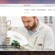 EMS Elektronik web sitesi
